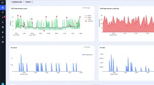 APM-Anomaly 1 APM Anomaly
