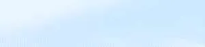 banner 300x70 1