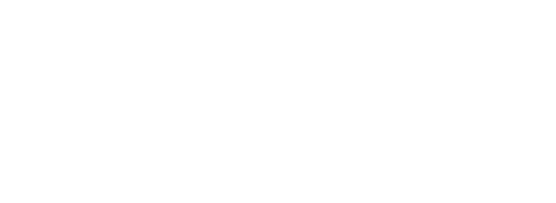 Connectivity_Solutions_Logo